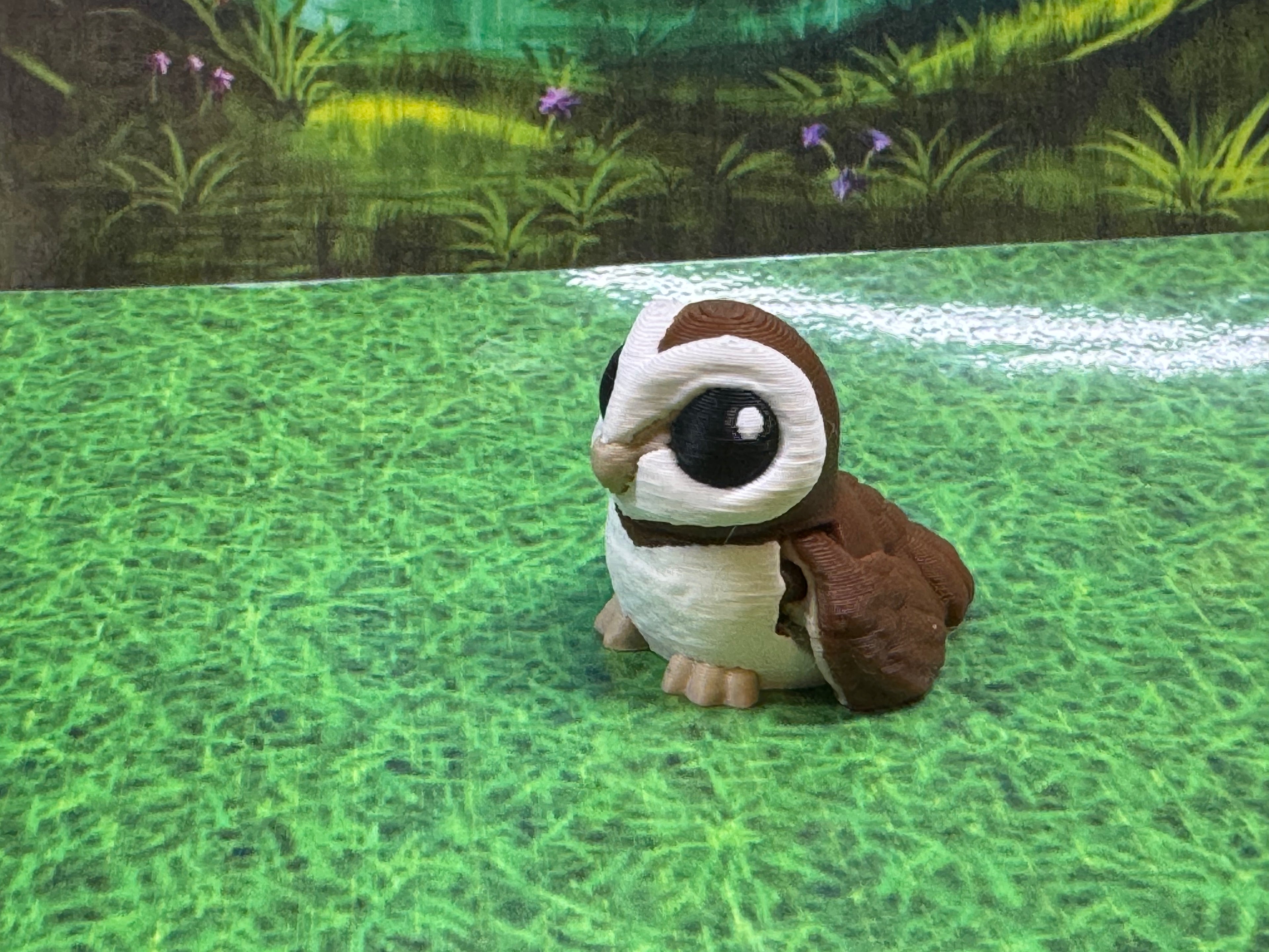 Barn Owl Hatchling