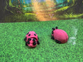 Beetle Hatchling