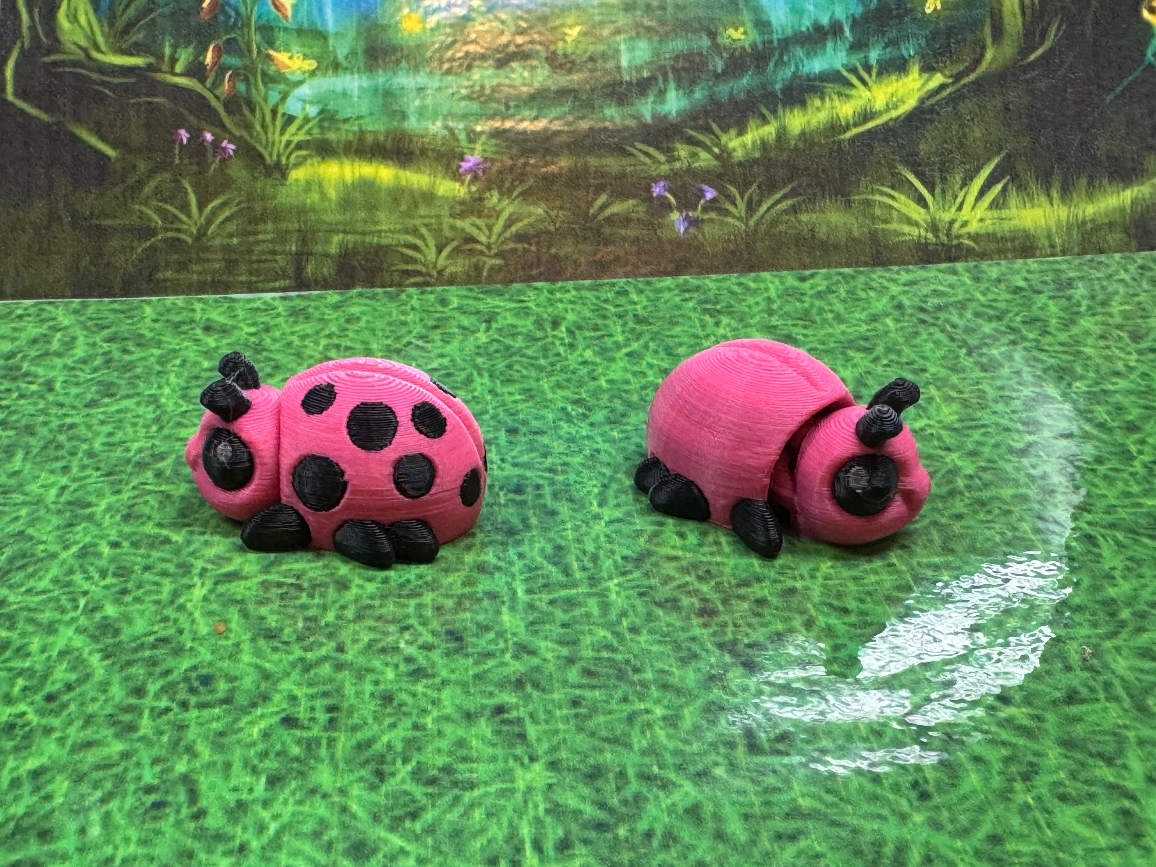 Beetle Hatchling