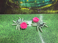 Rose Spider - Hatchlings