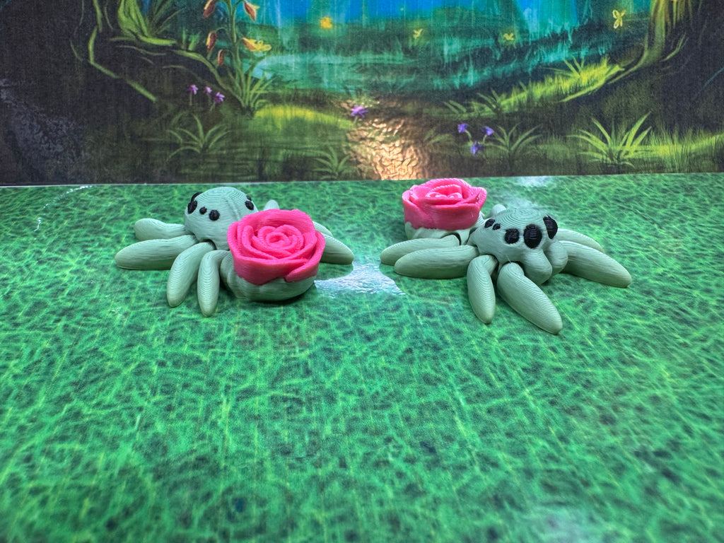 Rose Spider - Hatchlings
