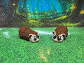 Hedgehog - Hatchling DBS