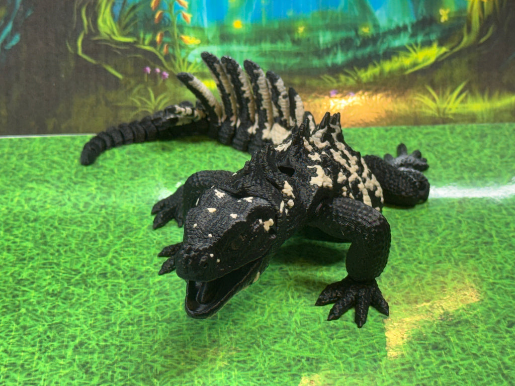 Sailfin Dragon - RB