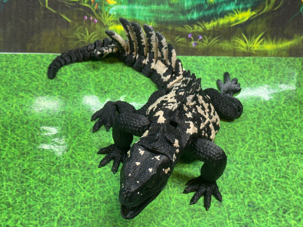 Sailfin Dragon - RB