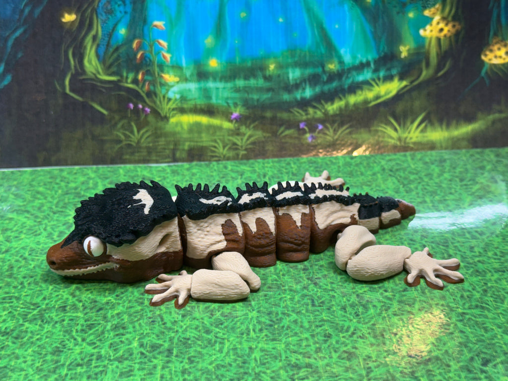 Crested Gecko - RB
