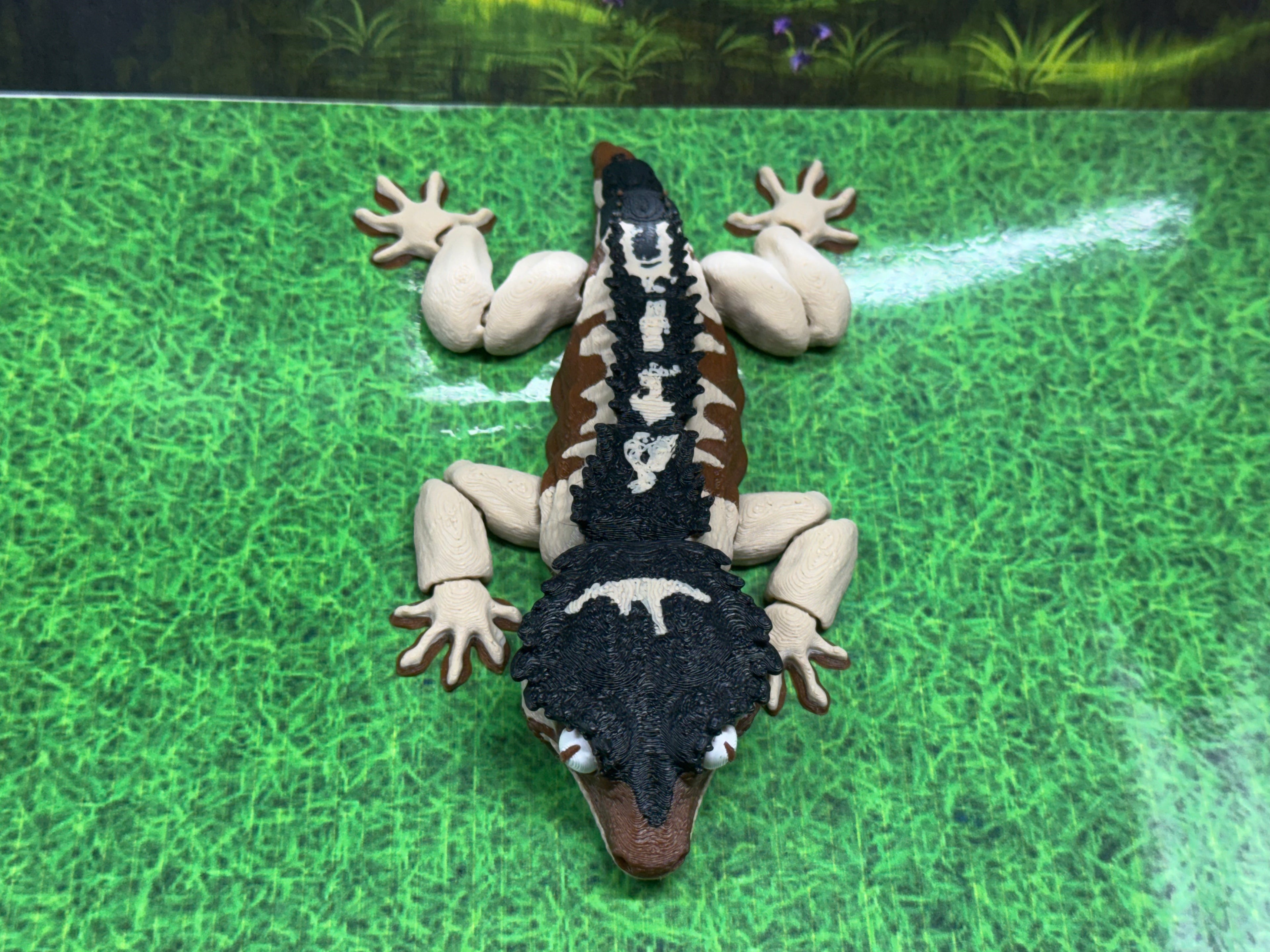 Crested Gecko - RB