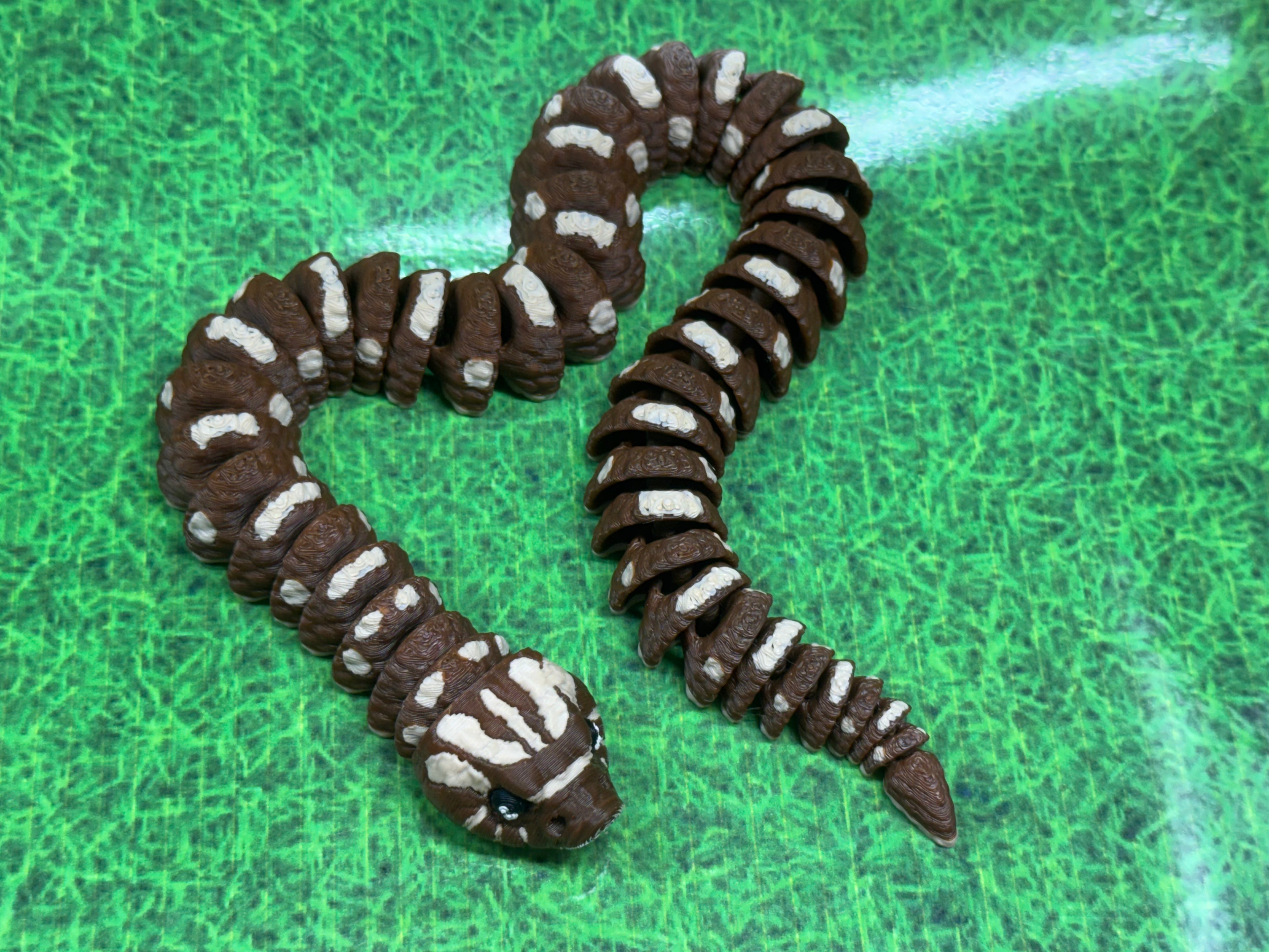 Hognose Snake - RB