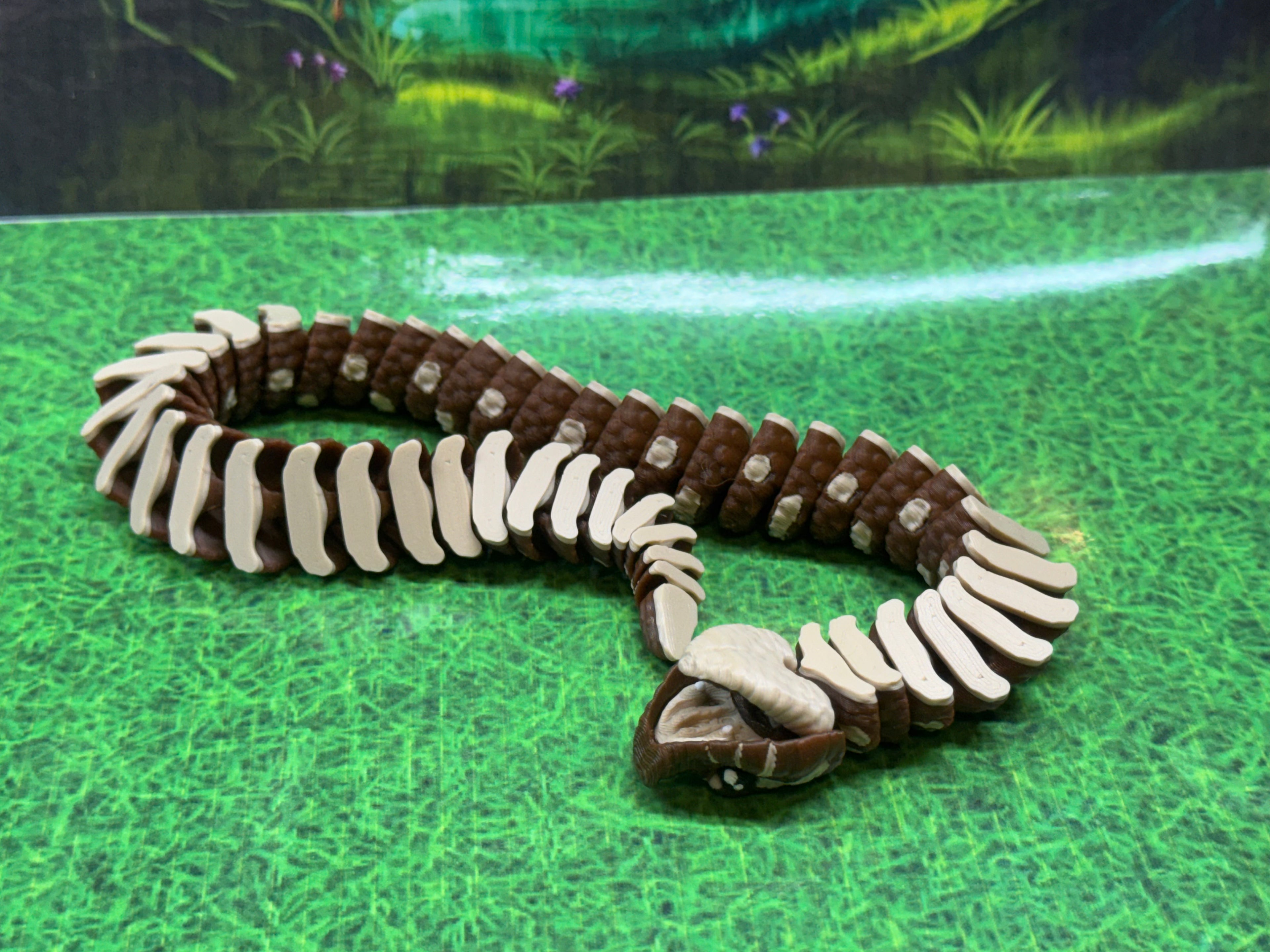 Hognose Snake - RB