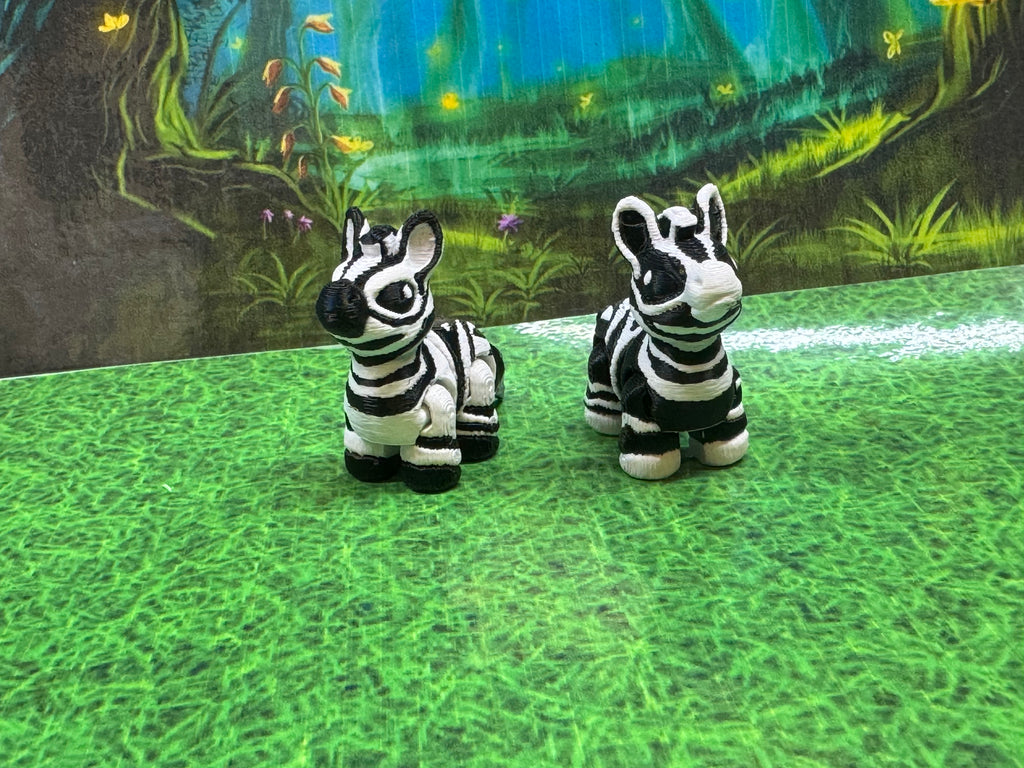 Zebra Hatchling - Cinderwing