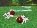 Apple Spider - Hatchling