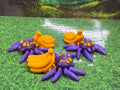 Banana Spider - Hatchling