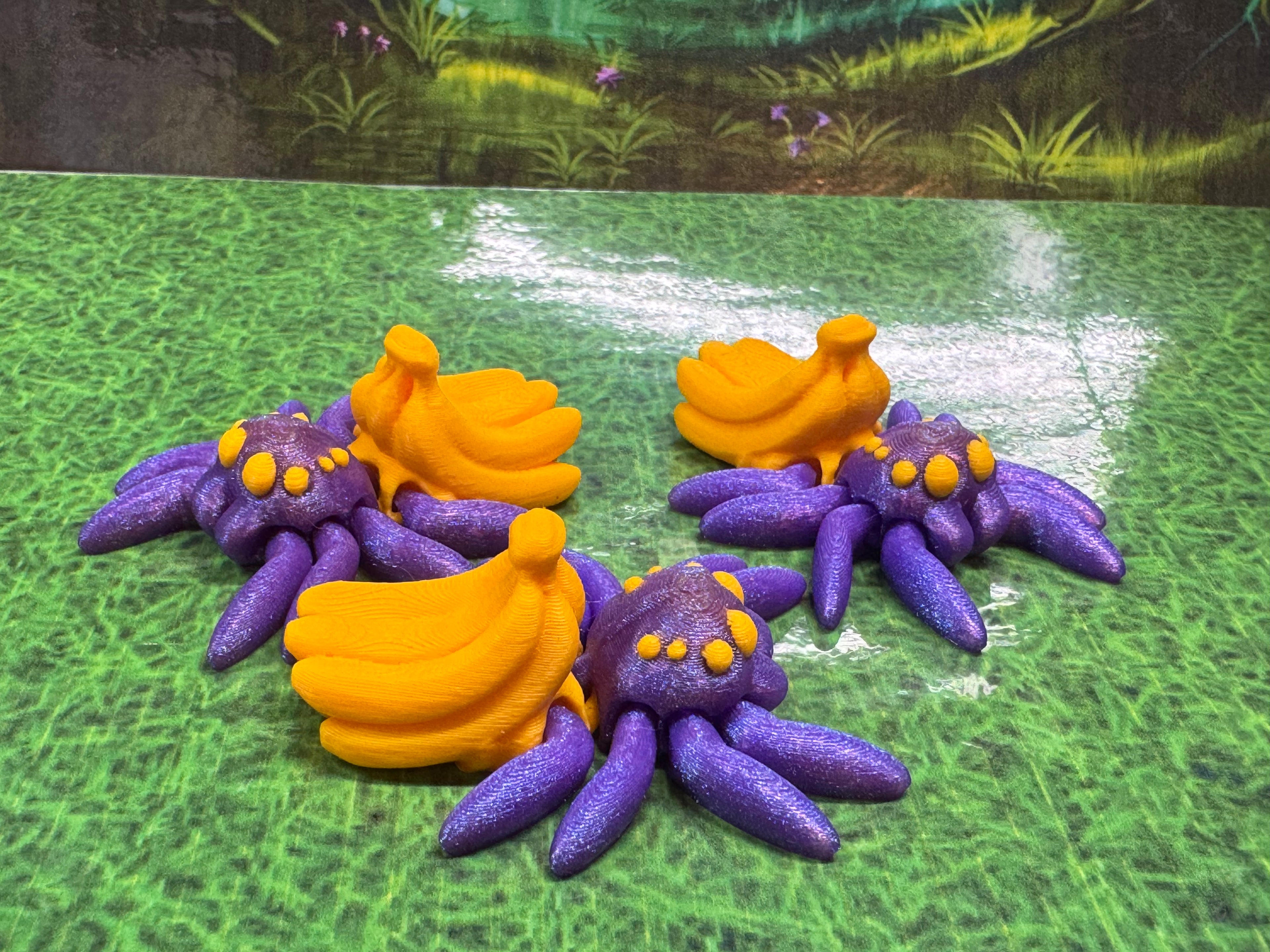 Banana Spider - Hatchling