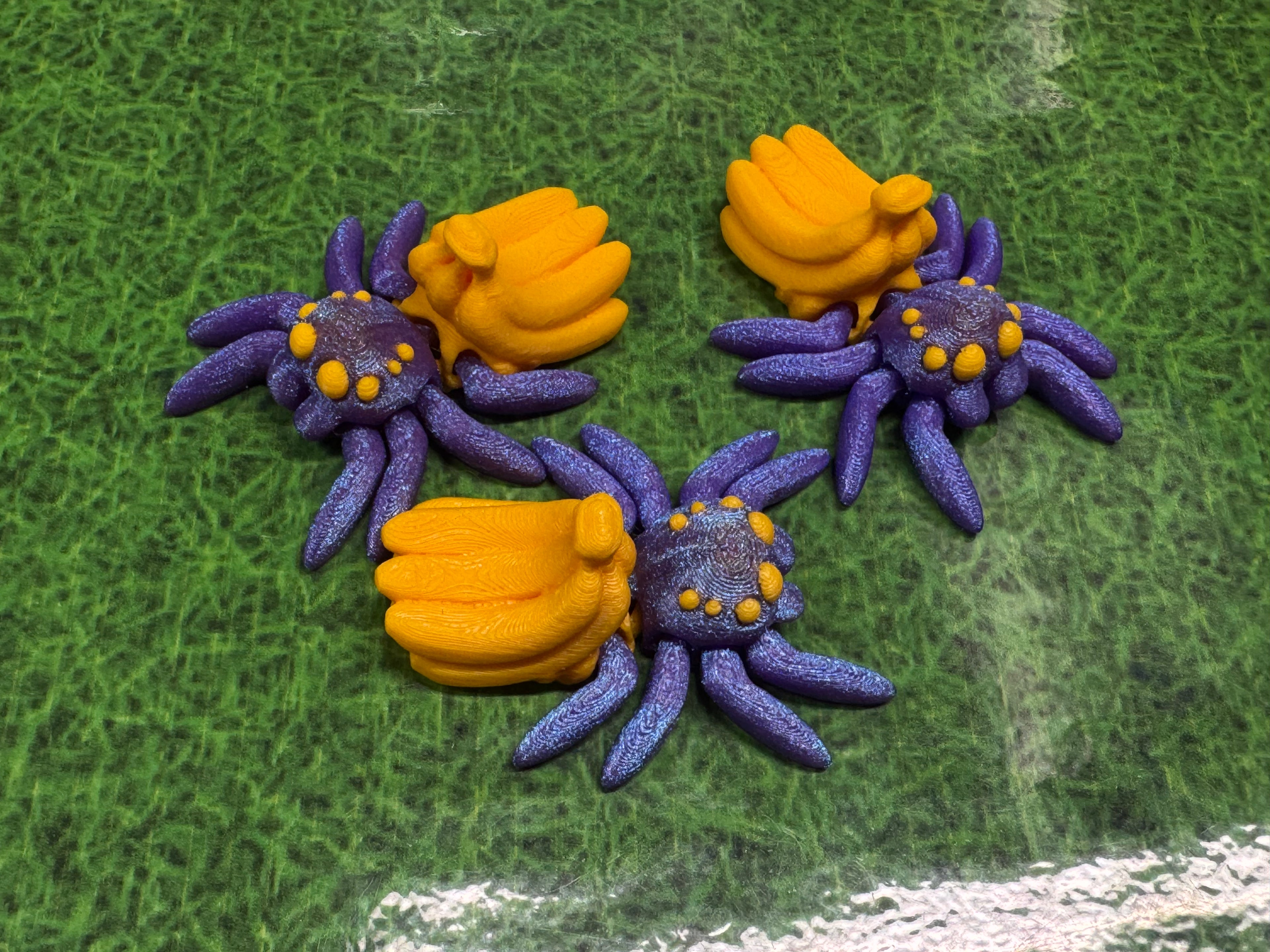 Banana Spider - Hatchling