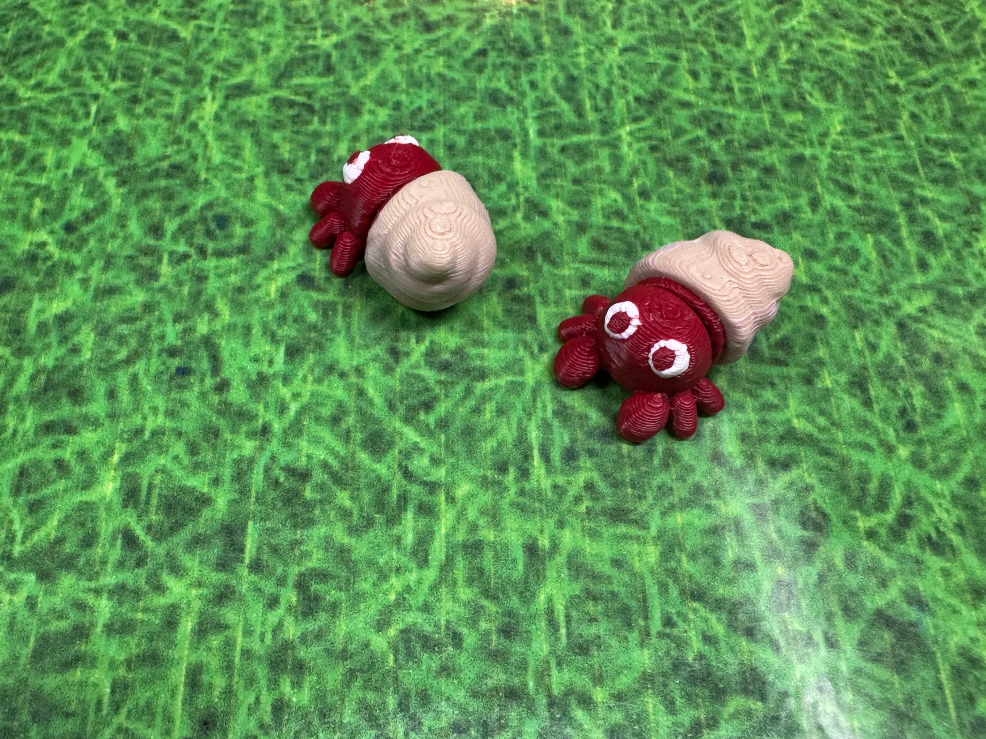 Hermit Crab - Nano Nuzzler