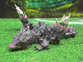 Phoenix Dragon Tadling
