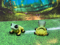 Frog Hatchling