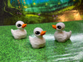 Duck - Hatchling
