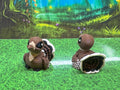 Turkey - Hatchling