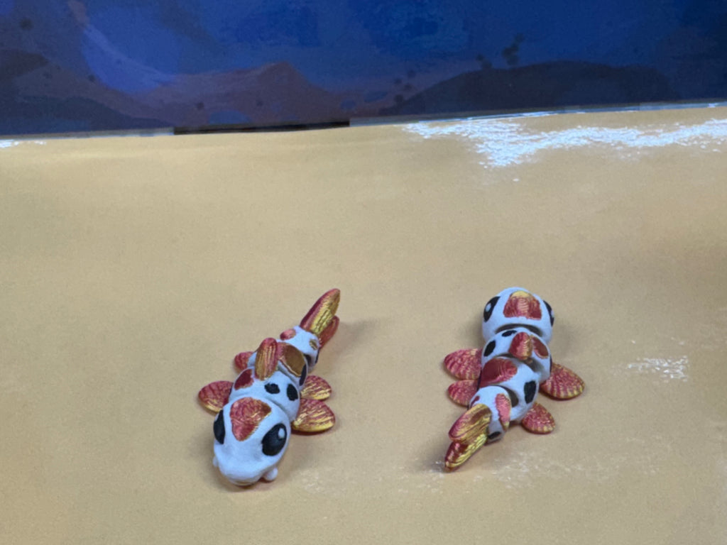 Koi Fish - Hatchlings